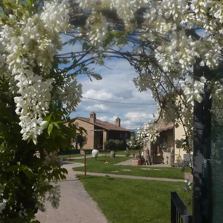 Apartamento Kormoransee Ferien By Interhome Pucciarelli