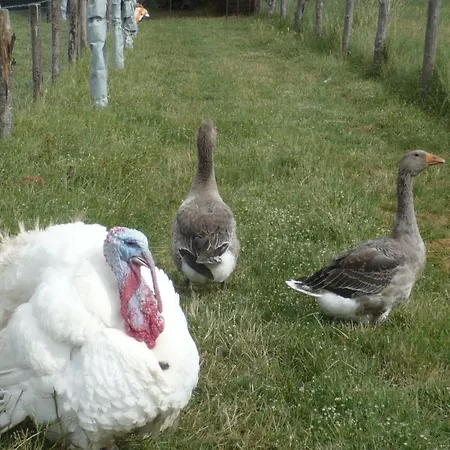 Apartamento Kormoransee Ferien By Interhome