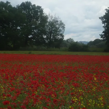 Kormoransee Ferien By Interhome Apartamento *