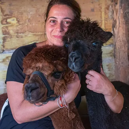 Apartamento Kormoransee Ferien By Interhome