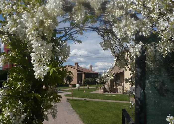 דירה Kormoransee Ferien By Interhome Pucciarelli