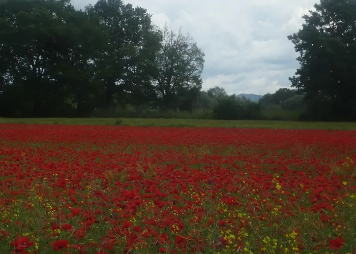 Kormoransee Ferien By Interhome Appartement *