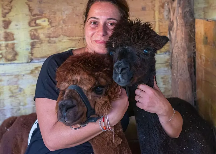 Appartement Kormoransee Ferien By Interhome