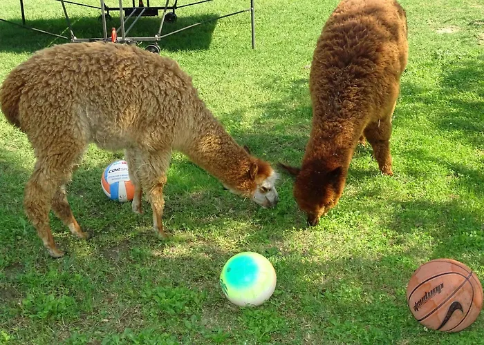 Apartment Kormoransee Ferien By Interhome Pucciarelli